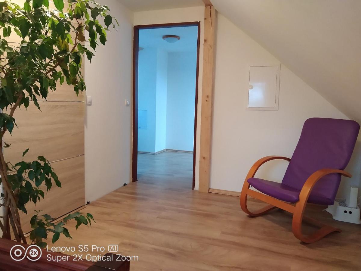 דירות Dolany  Wellness Apartman Beavital מראה חיצוני תמונה